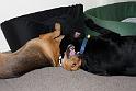 Sandy and Bas_08-05-17_0009